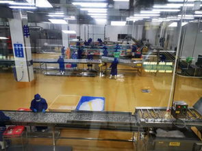 多圖首發！解密水產智能化工廠與文化館，探索未來水產新生態